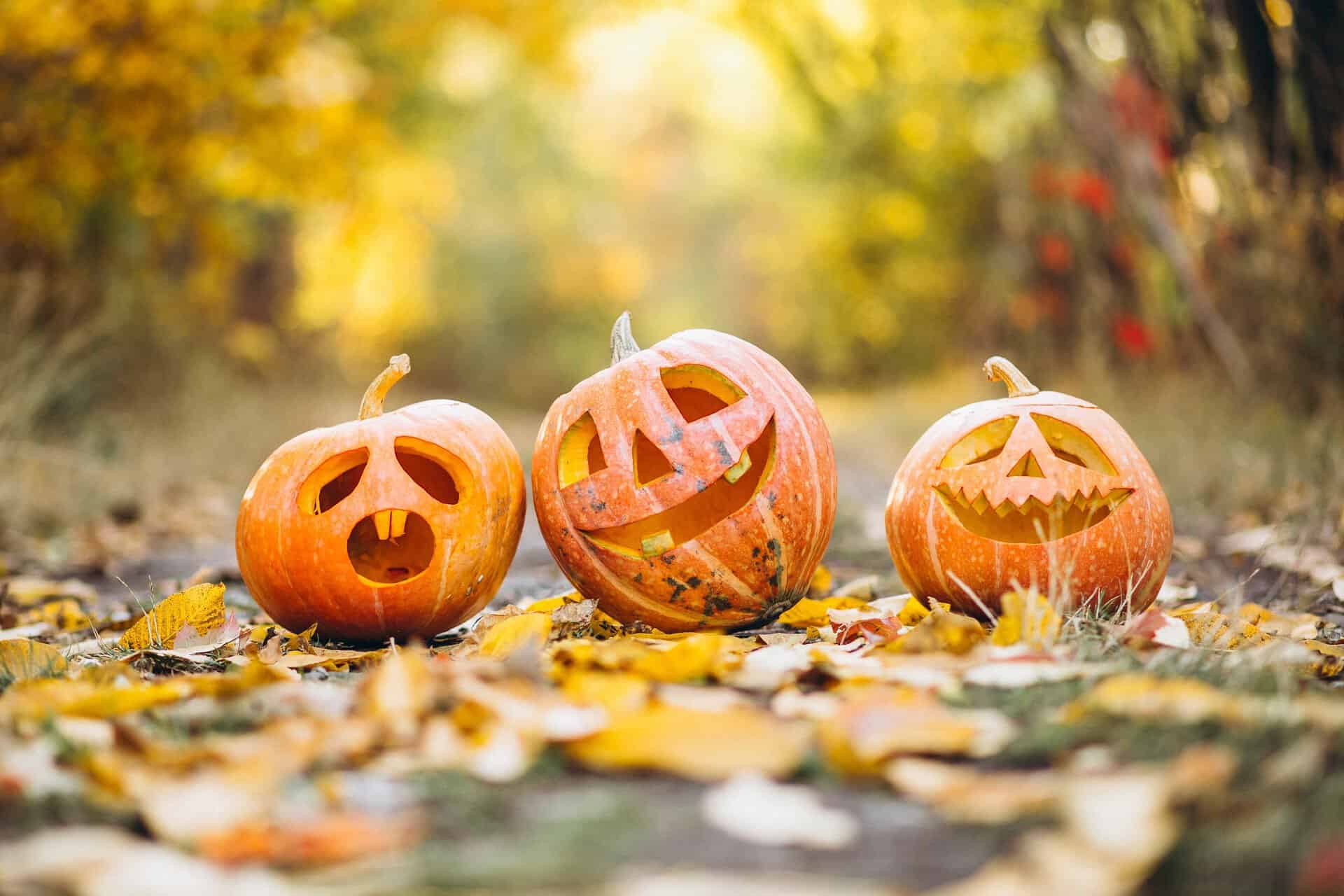 ruta infantil de halloween