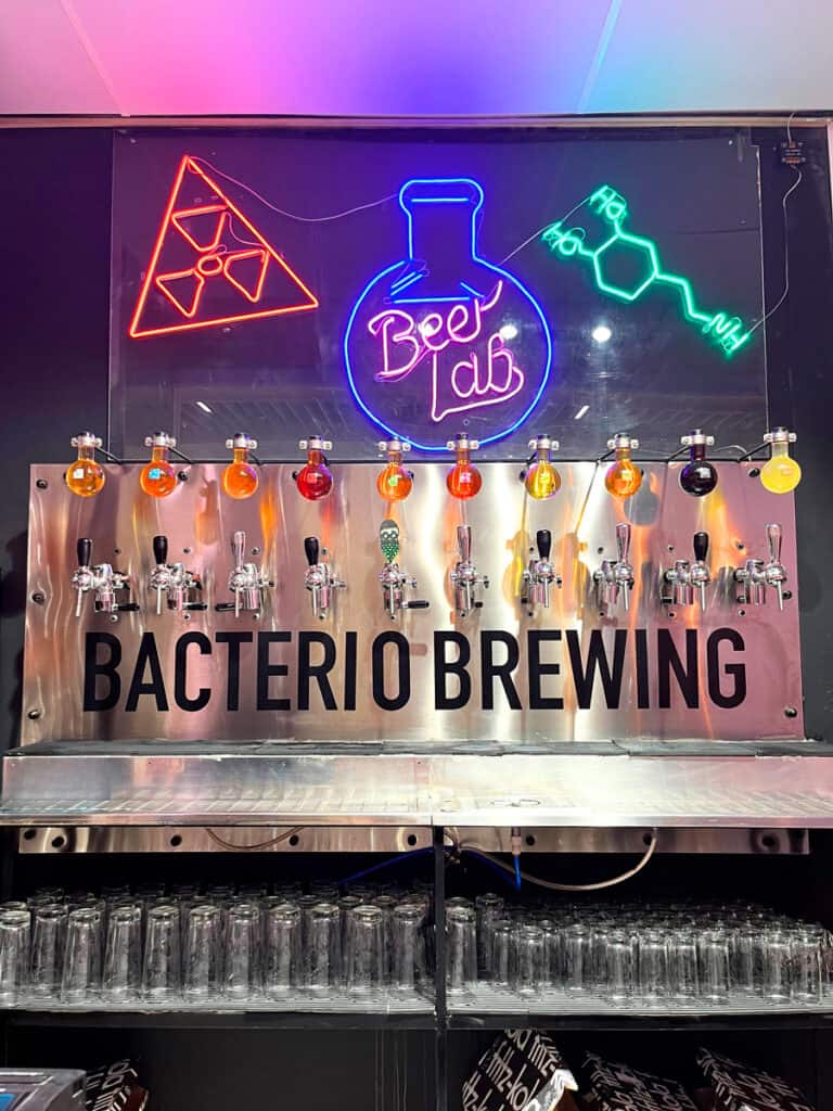 cervezas artesanales