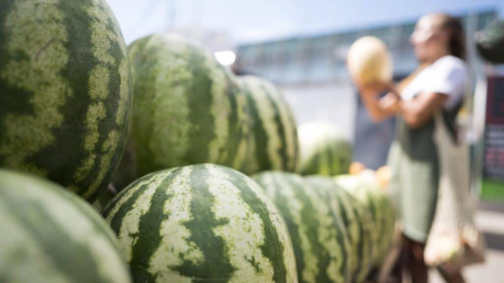 propiedades de la sandia