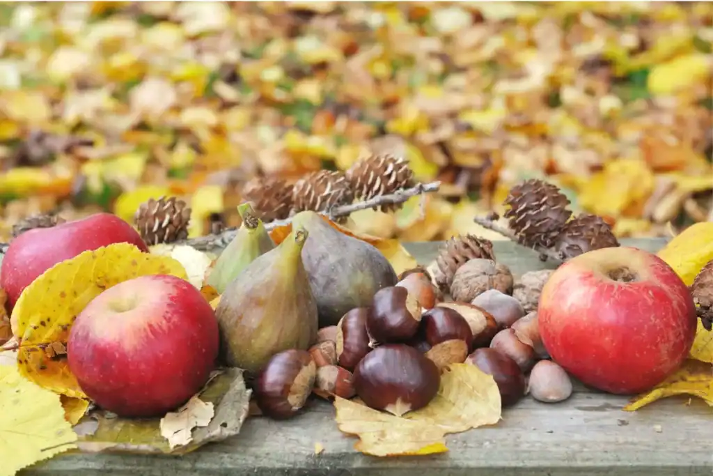 frutas de otoño ricas en fibra